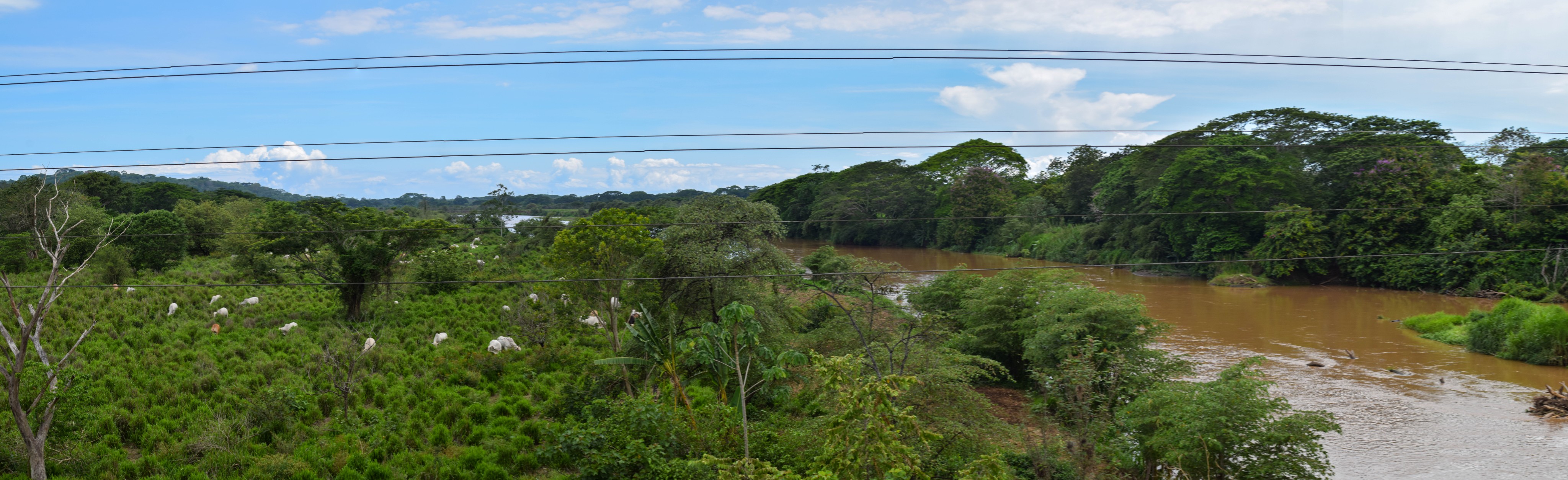 Panorama 11